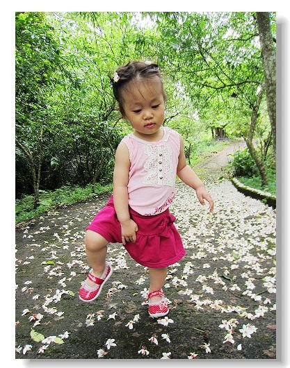 42912flower 16000