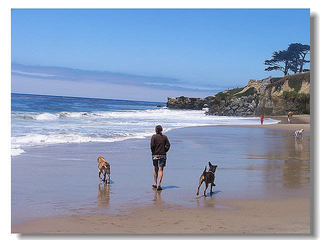 beach 14100.jpg