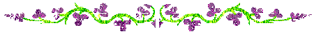 dividers_95.gif