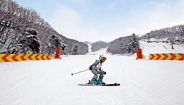 陽智Pine滑雪場