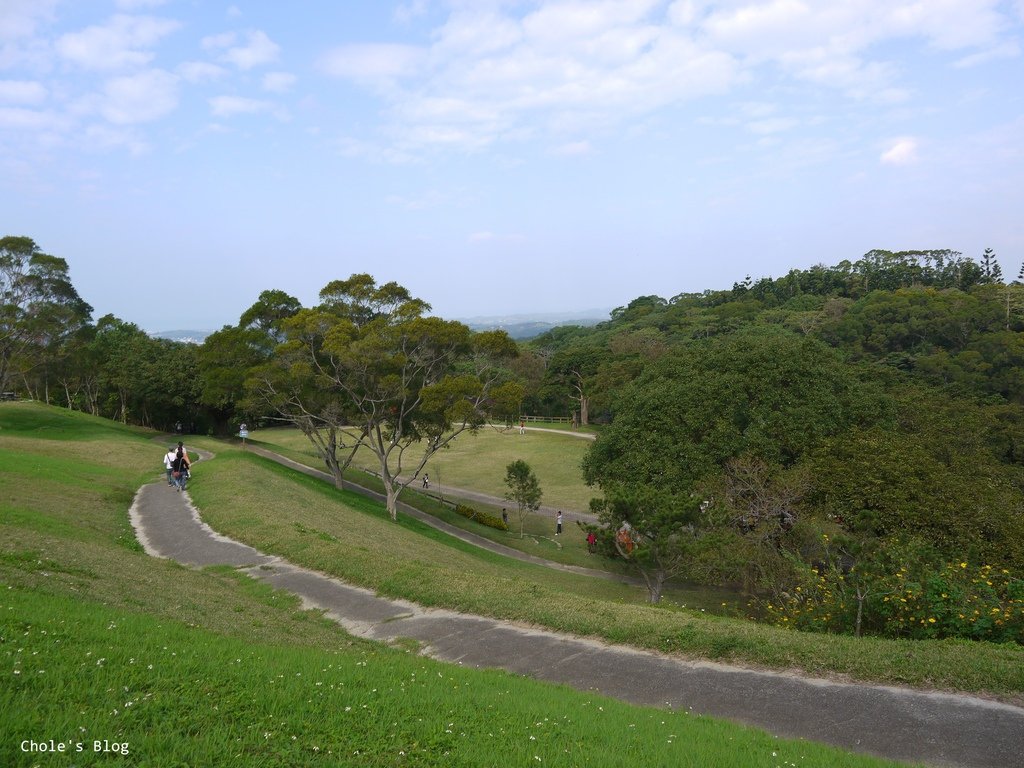 P102032311.jpg