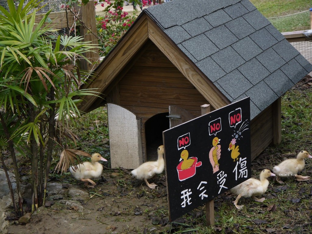 P102038211.jpg
