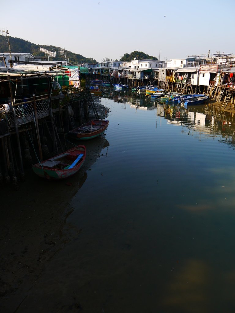 P1030541.JPG