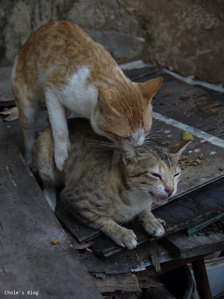 P10304910.jpg