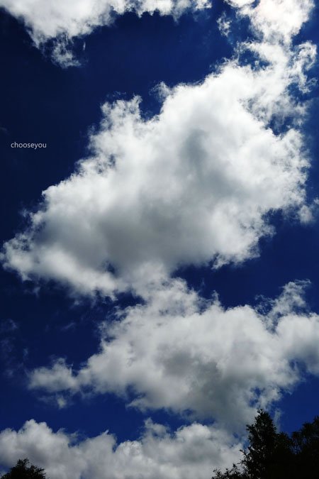 2012-0819-七星山+夢幻湖+牛奶湖-064