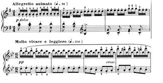 Czerny op.849-12&amp;13.jpg