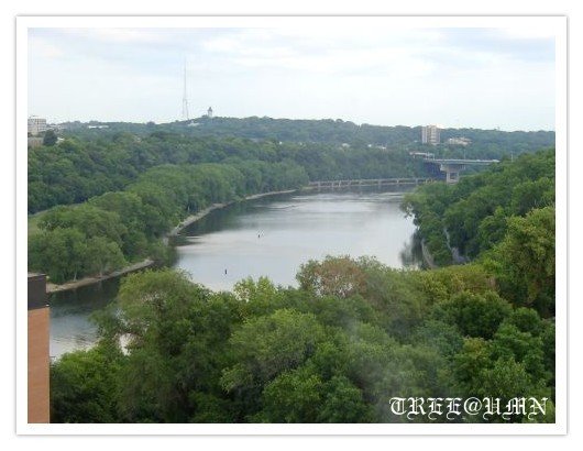 從宿舍看出去的Mississippi river