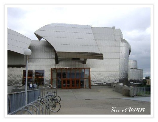 Weisman Art Museum-1