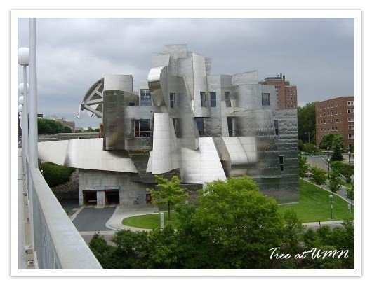 Weisman Art Museum-2