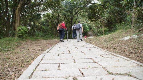 05樹林關公嶺大棟山青龍縱走.JPG