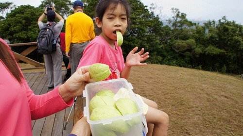 10樹林關公嶺大棟山青龍縱走.JPG