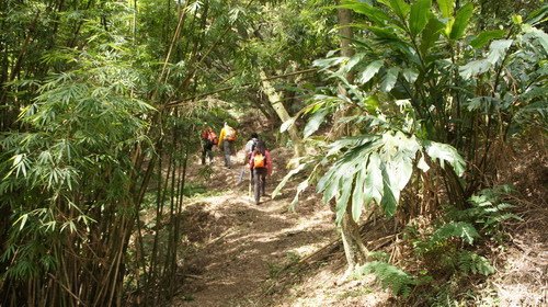 13樹林關公嶺大棟山青龍縱走.JPG