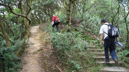 19樹林關公嶺大棟山青龍縱走.JPG