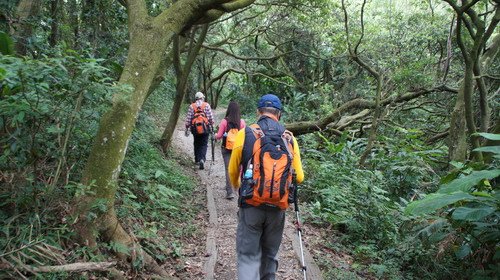 28樹林關公嶺大棟山青龍縱走.JPG