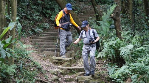 31樹林關公嶺大棟山青龍縱走.JPG