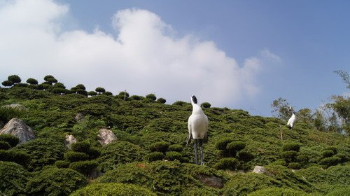 39苗栗九華山.JPG