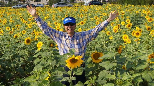 19通霄太陽花.JPG