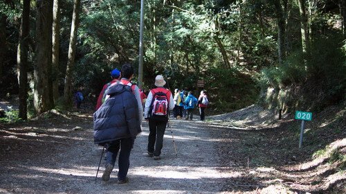 08觀霧榛山步道行.JPG
