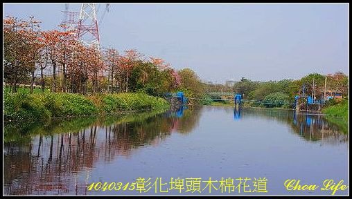 28埤頭木棉花道.JPG
