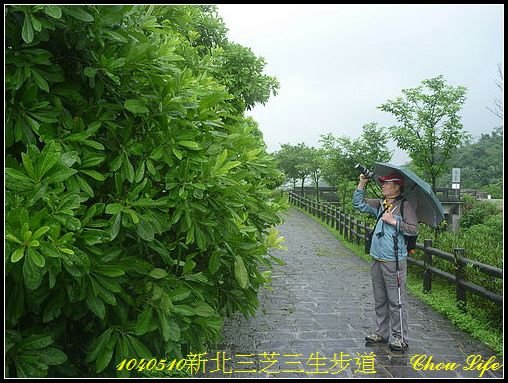 19三芝三生步道.JPG