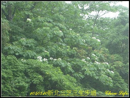 29三芝三生步道.JPG