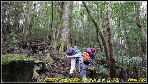 53 4稜野溪溫泉.JPG
