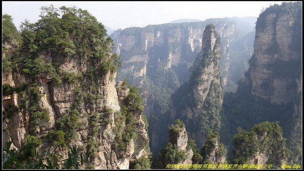 23湖南張家界峰林.JPG