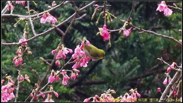 15福州森林公園.jpg