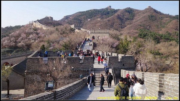 35北京 八達嶺長城.jpg