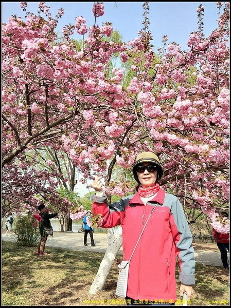29北京玉淵潭公園.jpg