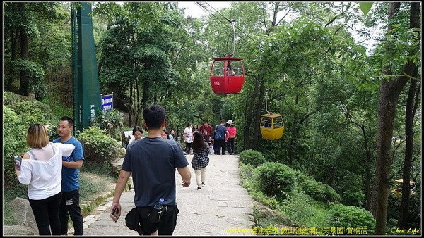 57福州閩山天景園 賞桐花.jpg