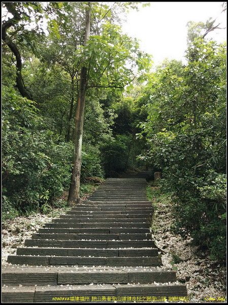 22福州 鼓山勇者登山道健走.jpg