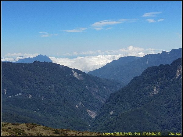 B16合歡山北峰 紅毛杜鵑.jpg