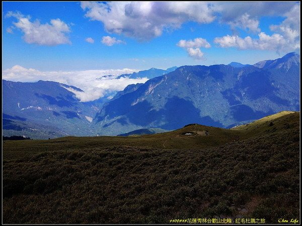 B48合歡山北峰 紅毛杜鵑.jpg