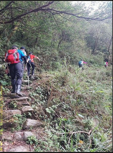 B60桶後越嶺古道健走.jpg