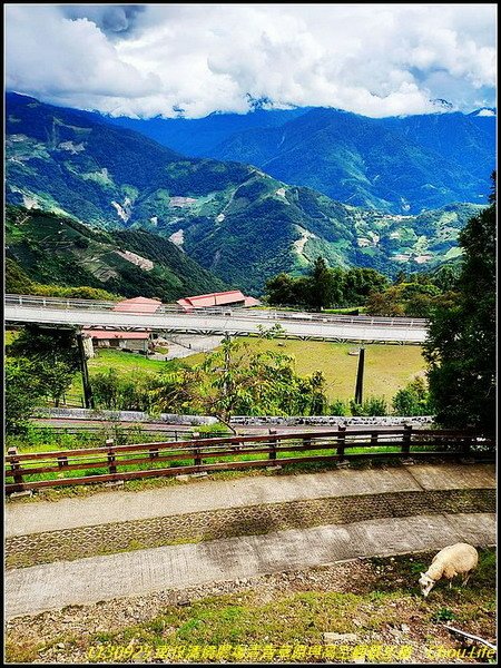 B47清境青青草原.jpg