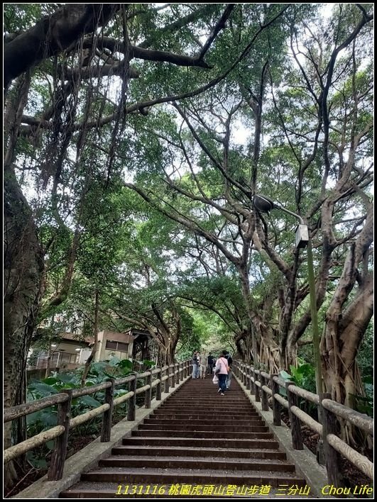 B05虎頭山登山步道.jpg