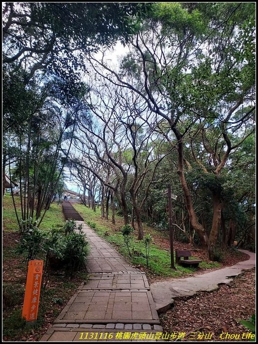 B18虎頭山登山步道.jpg