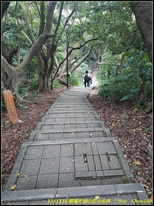 B30虎頭山登山步道.jpg