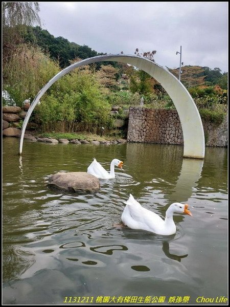 B06大有梯田生態公園 .jpg