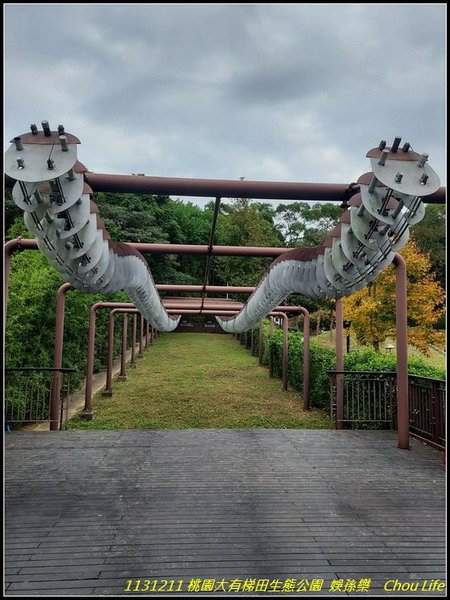 B38大有梯田生態公園 .jpg