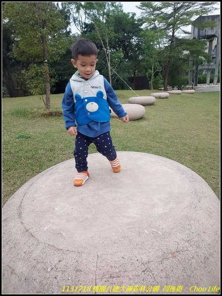 B48大湳森林公園.jpg