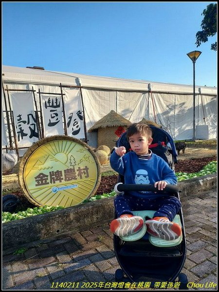 B03  2025年台灣燈在桃園.jpg