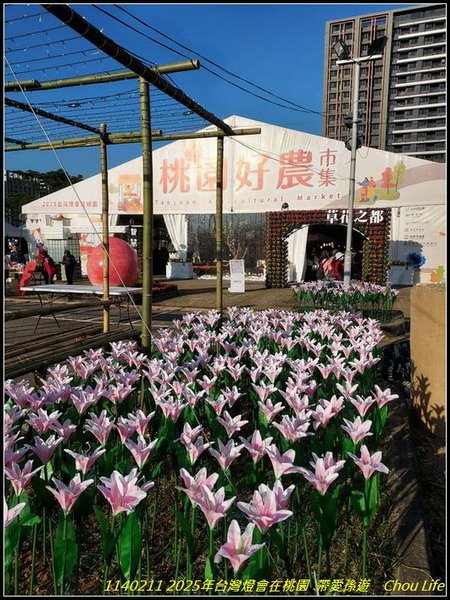 B04  2025年台灣燈在桃園.jpg