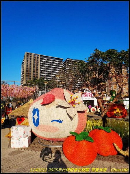 B05  2025年台灣燈在桃園.jpg