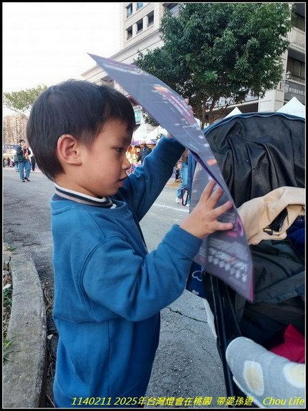 B21  2025年台灣燈在桃園.jpg