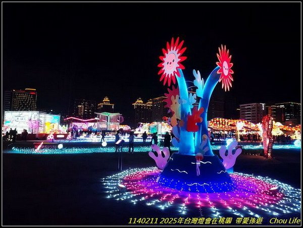 B45  2025年台灣燈在桃園.jpg