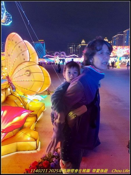 B47  2025年台灣燈在桃園.jpg