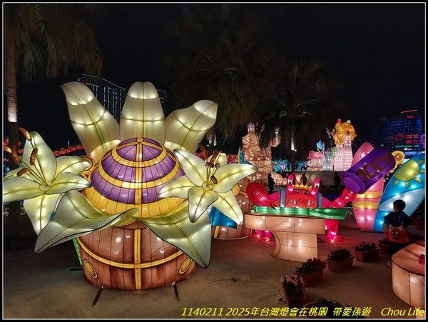 B51  2025年台灣燈在桃園.jpg