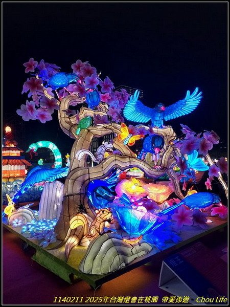 B66  2025年台灣燈在桃園.jpg